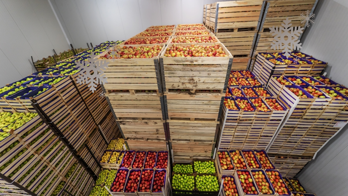 Temporary Food Stall Guide (Australia): Cold Chain, Hot-Holding & Transport Compliance