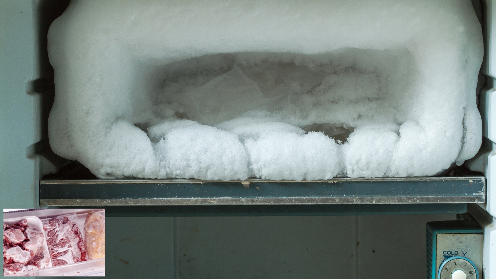 The Dead-Stock Paradox: Why Your “Energy-Efficient” Chest Freezer Is Costing You $8,000 a Year (Thermaster BD598F vs Atosa JBF40FSGR vs FED-X XURF600G1V)