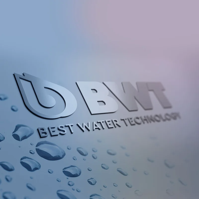 BWT logo