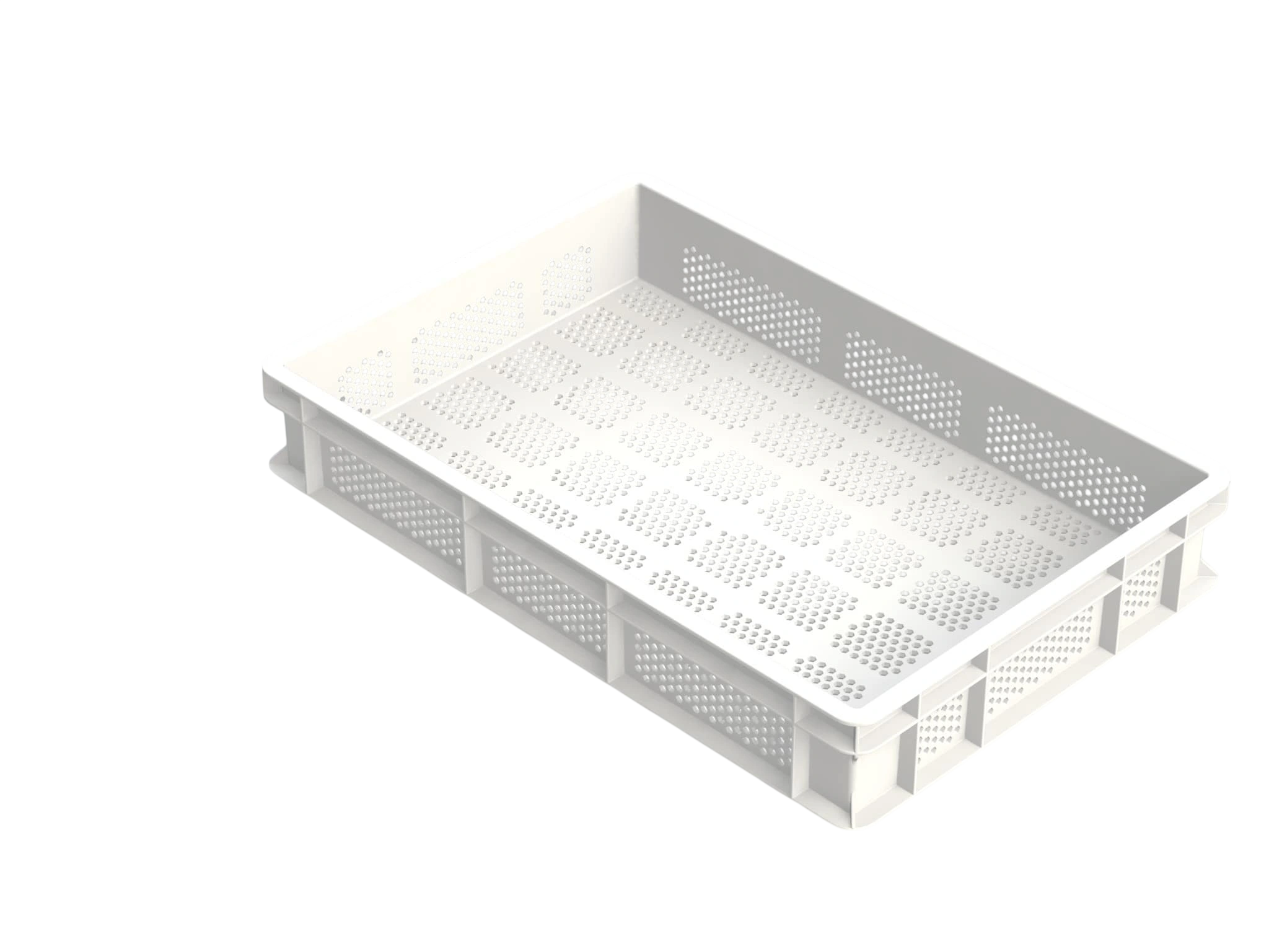 Anvil PTG0133 Perforated Pizza Tray – 100mm Deep, PE, Made in Italy commercial kitchen equipment