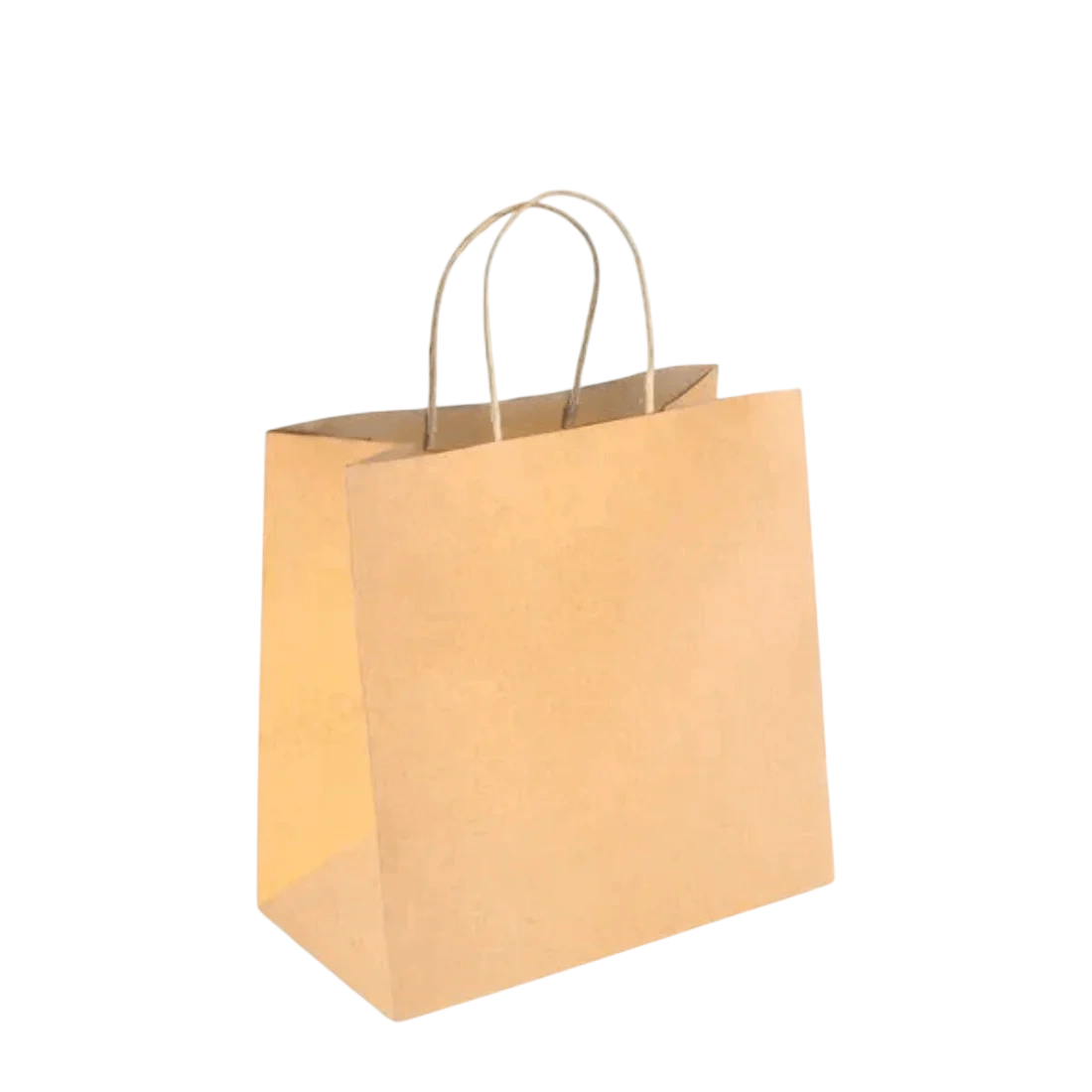 PakMax Small Twist Handle Kraft Paper Bags – RPFR-120-S