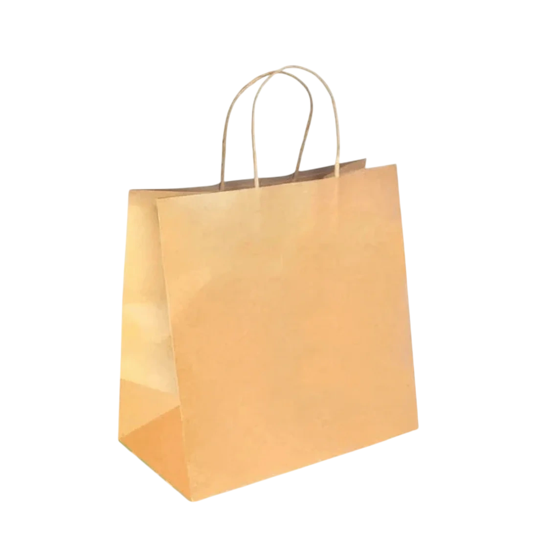 PakMax Large Twist Handle Kraft Paper Bags – RPRR-120-L