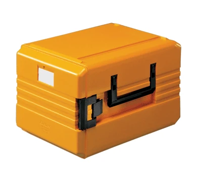 Rieber 600 K Frontloader Thermoport Delivery System
