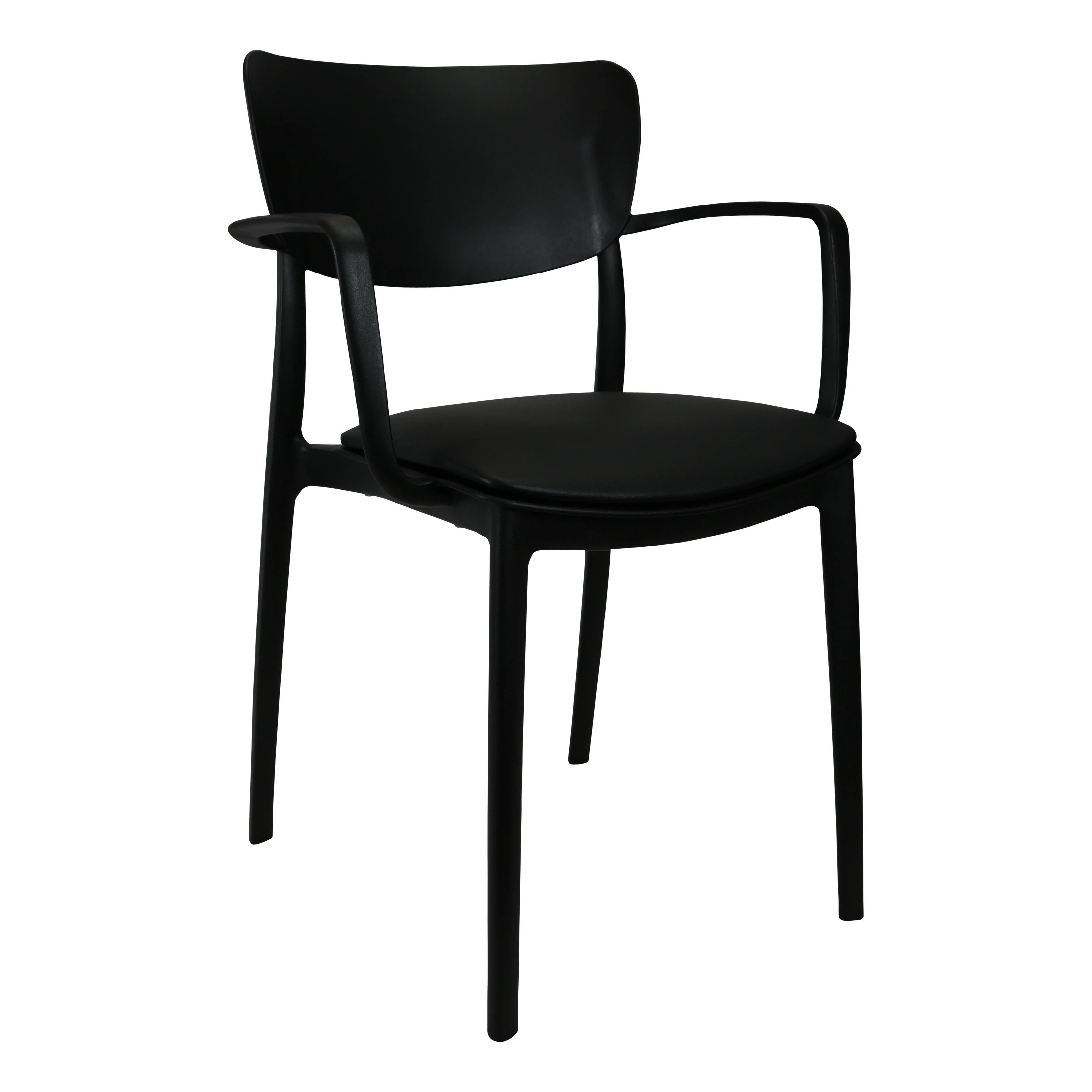 Siesta Lisa Arm Chair - Black with Black Vinyl Cushion