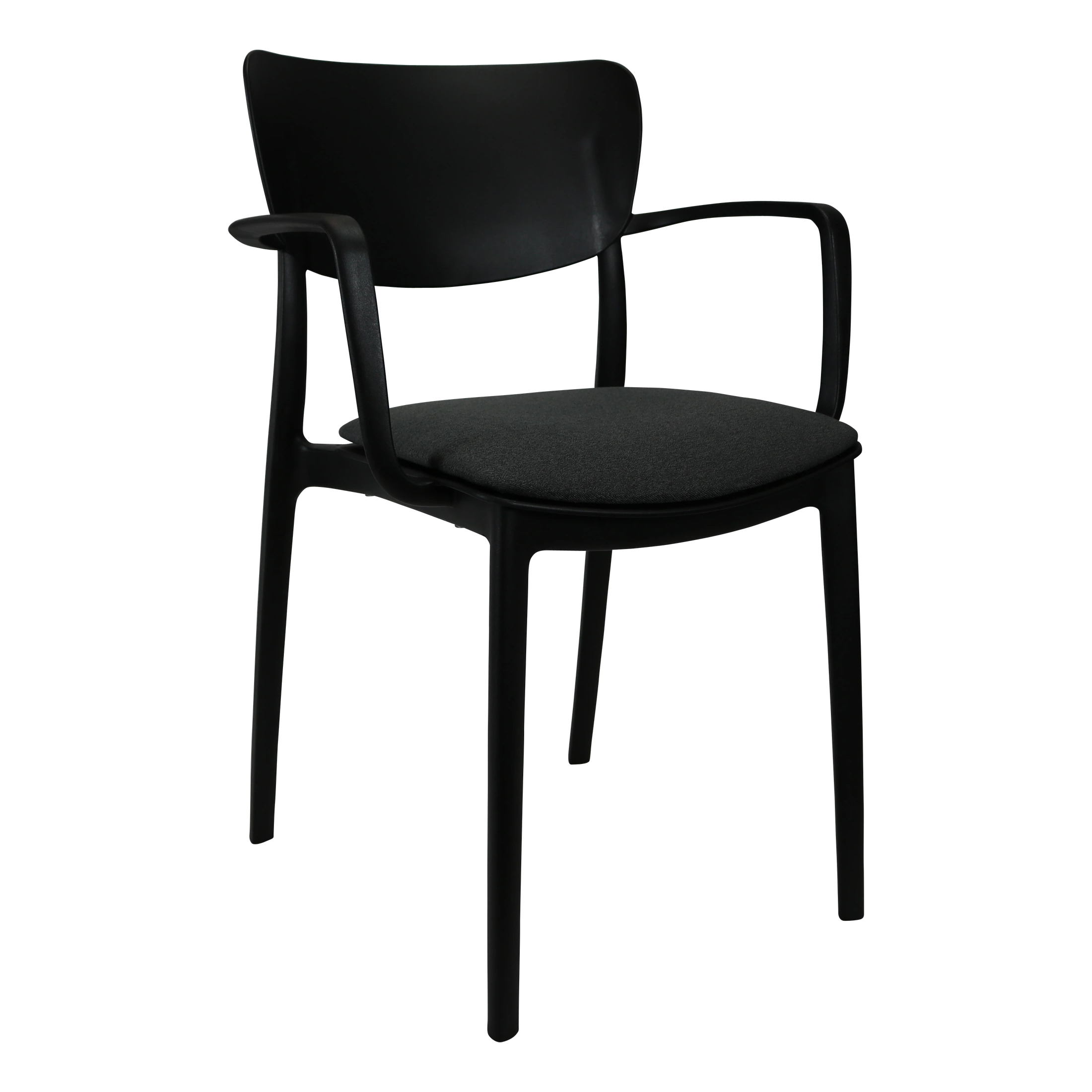 Siesta Lisa Arm Chair - Black with Anthracite Fabric Cushion