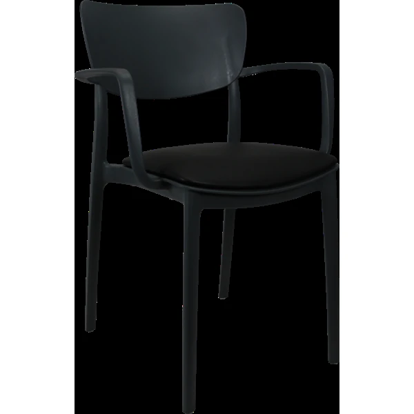 Siesta Lisa Arm Chair - Anthracite with Black Vinyl Cushion