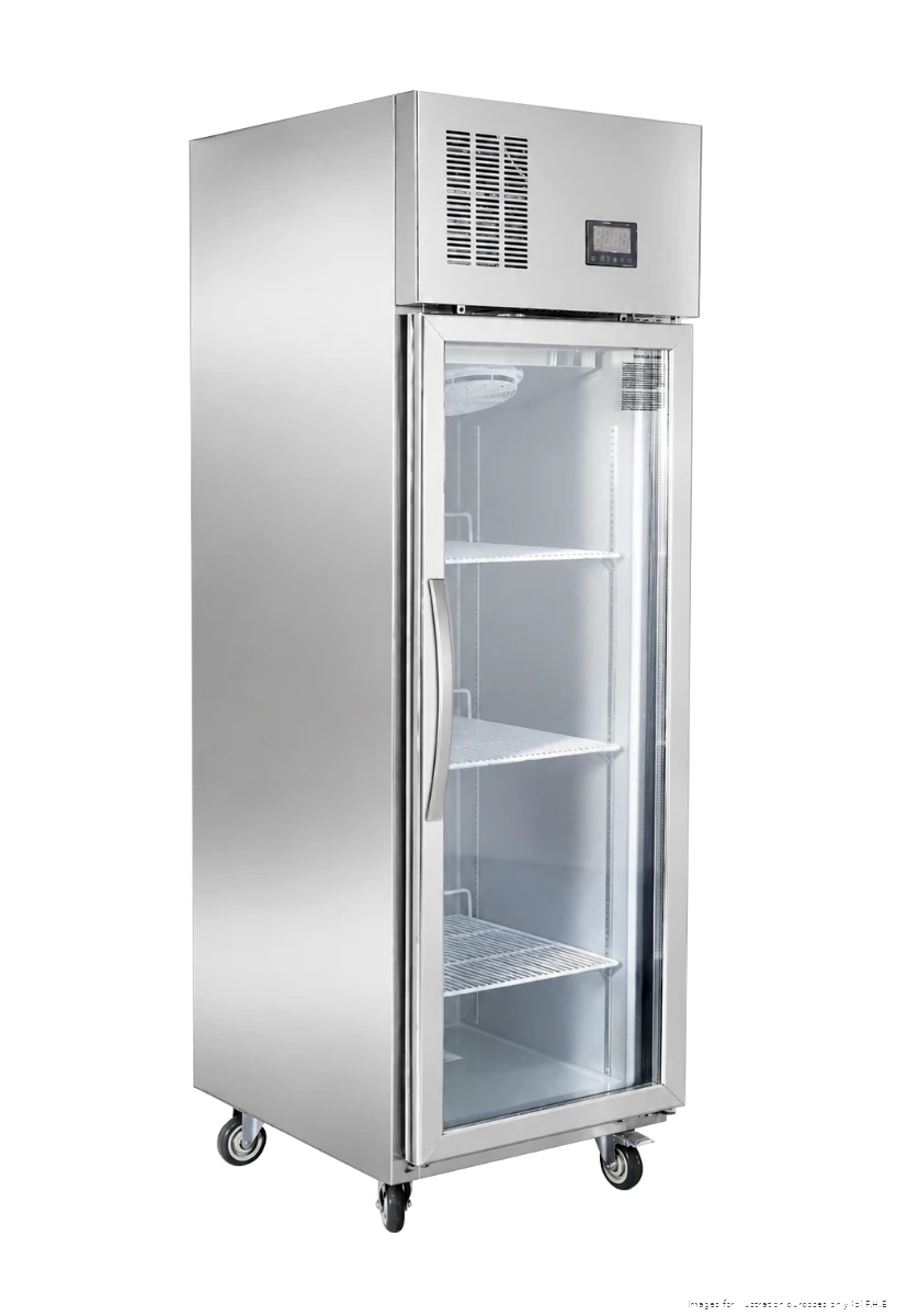 Glass Door Display Freezer – Thermaster SFWFG500