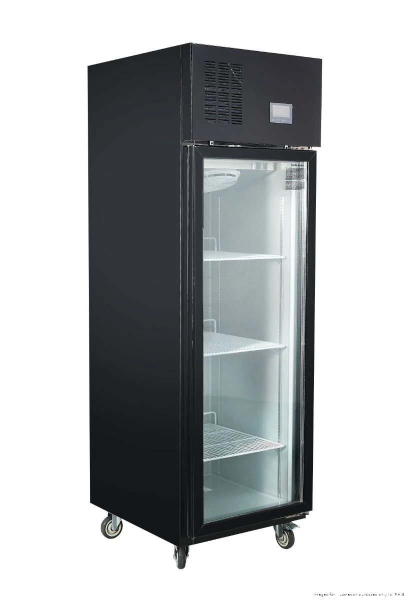 Glass Door Display Fridge – Thermaster SFWCG500B