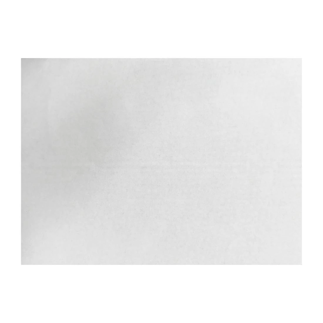 Fiesta Compostable HY790 Burger Wraps White - 250x350mm (Pack 200) product image
